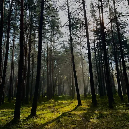 Appartamento Apartamentai Saulegraza Palanga