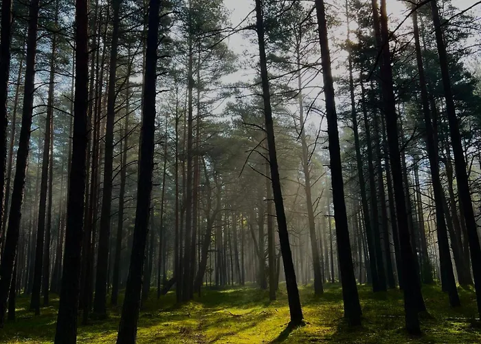 דירה Apartamentai Saulegraza פלאנגה